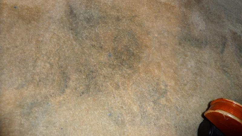 80/20 wool mix beige carpet.