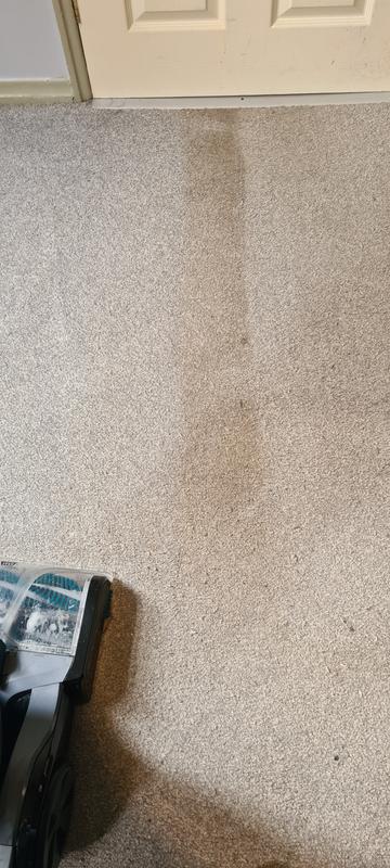 Whole carpet area this colour