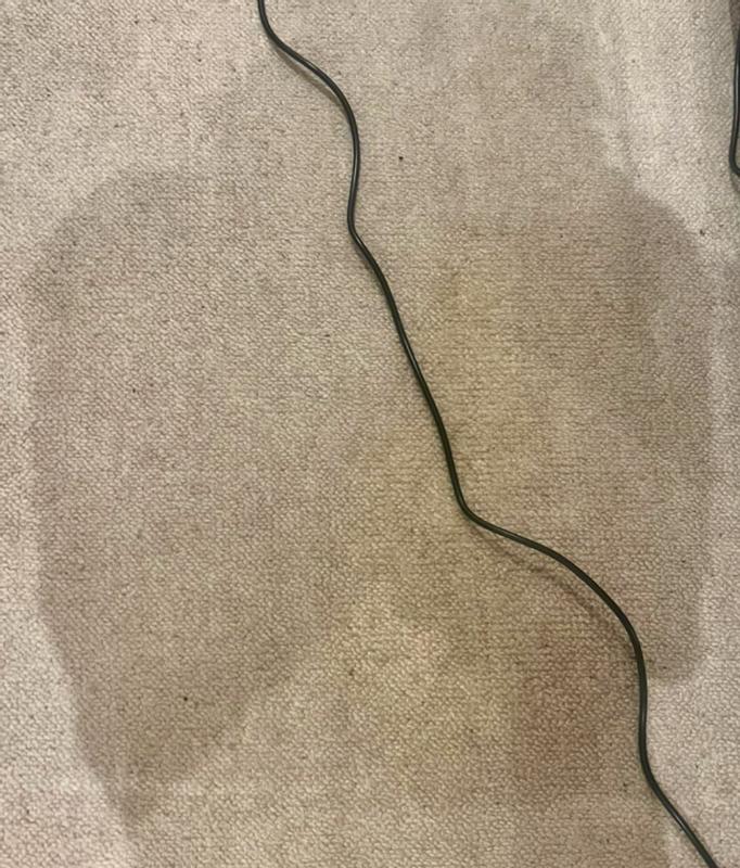 User generated review image 1