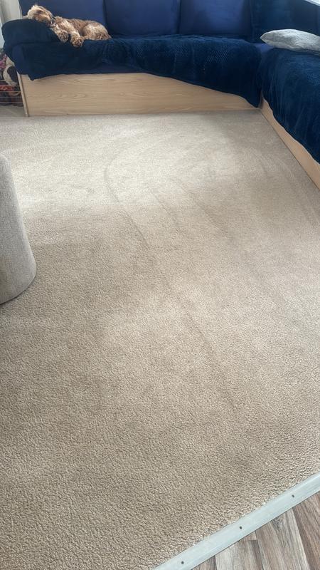 Cleaned the caravan carpet really well