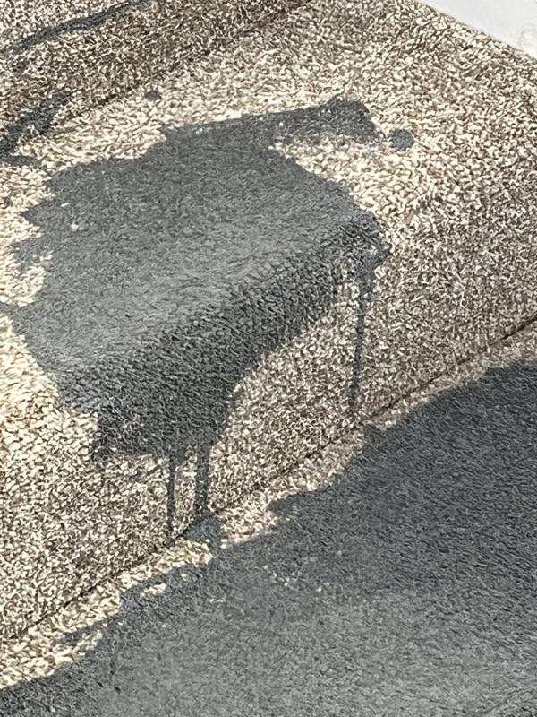 The vax removed all signs of this paint spill.