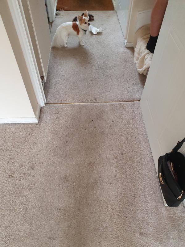 User generated review image 3