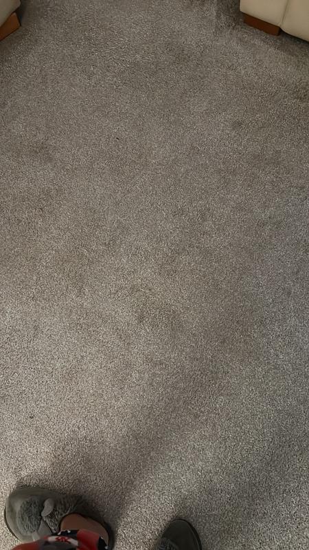 Clean carpet