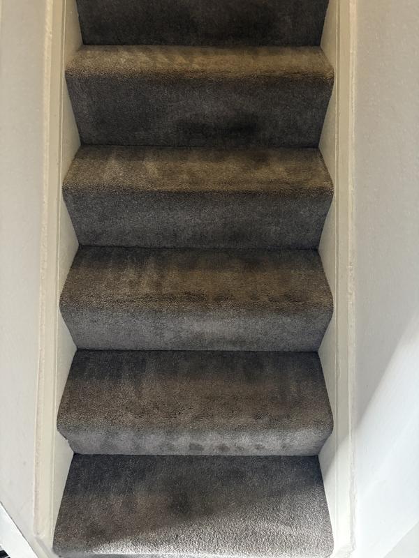 User generated review image 1