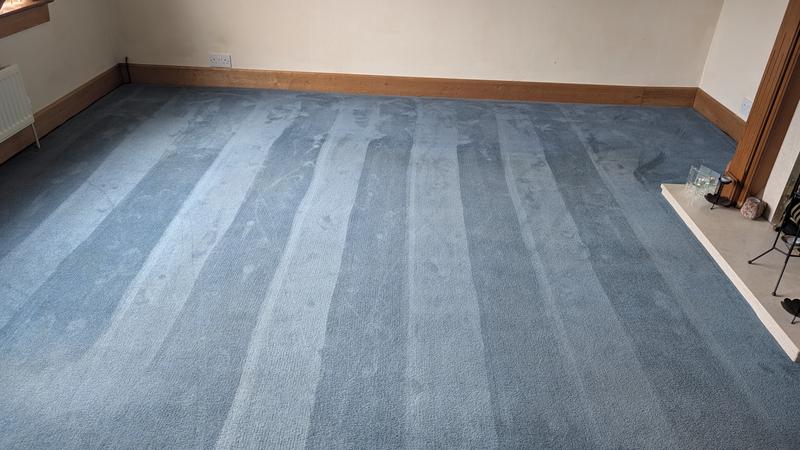 Living room carpet before and after.