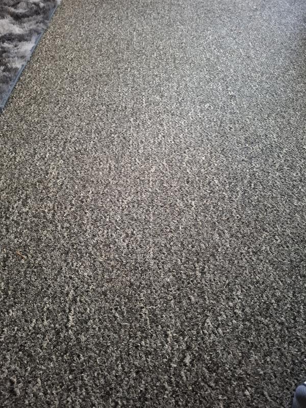 My carpet looking like new