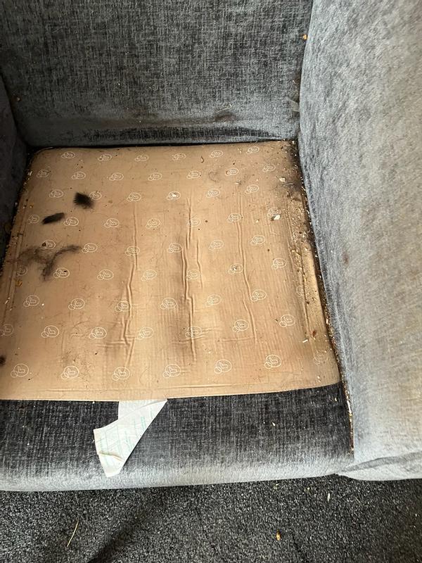 User generated review image 1