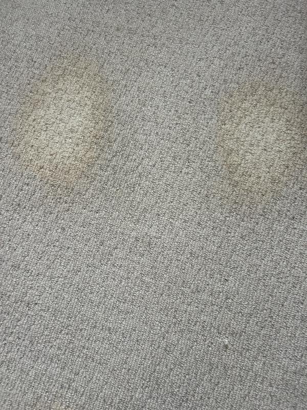 Blood bullseyes after cleaning