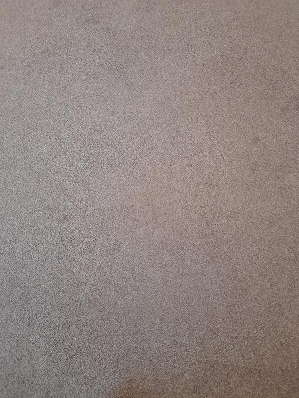 Clean carpet