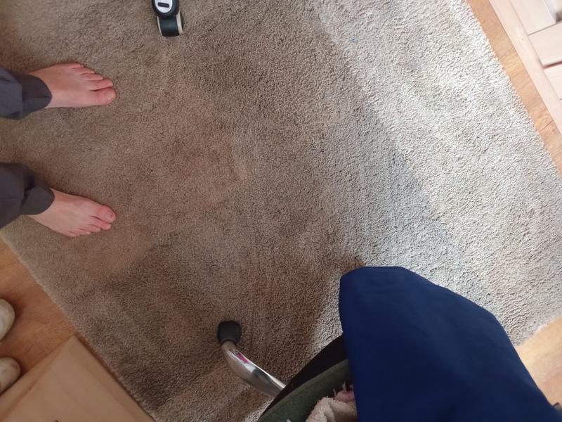 Cleaned Rug, great