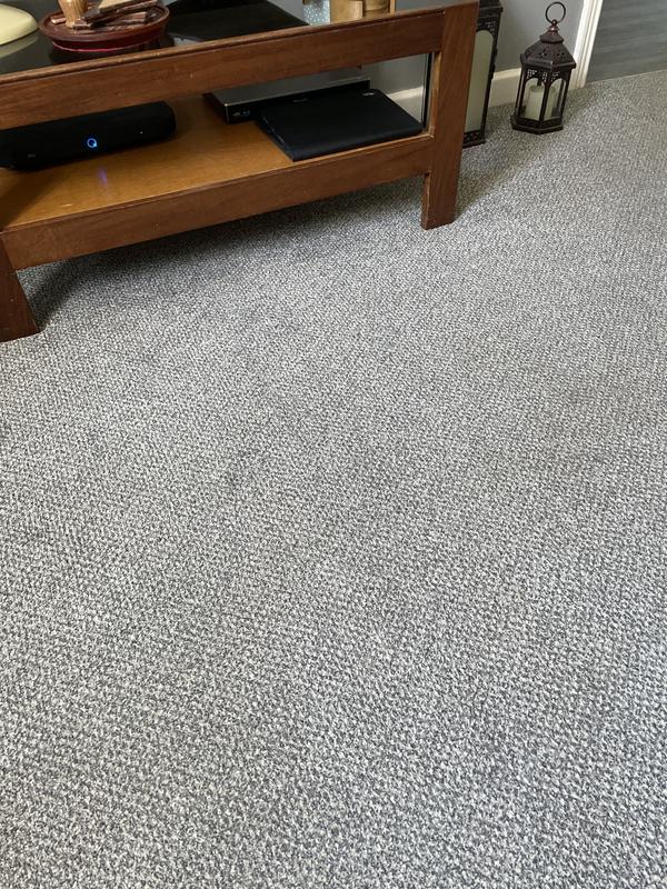 Nice clean carpet