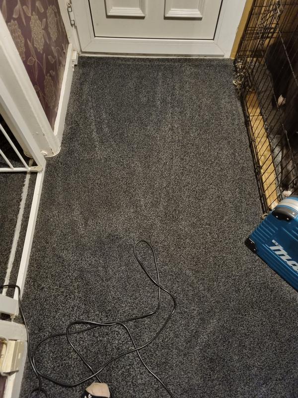 User generated review image 1