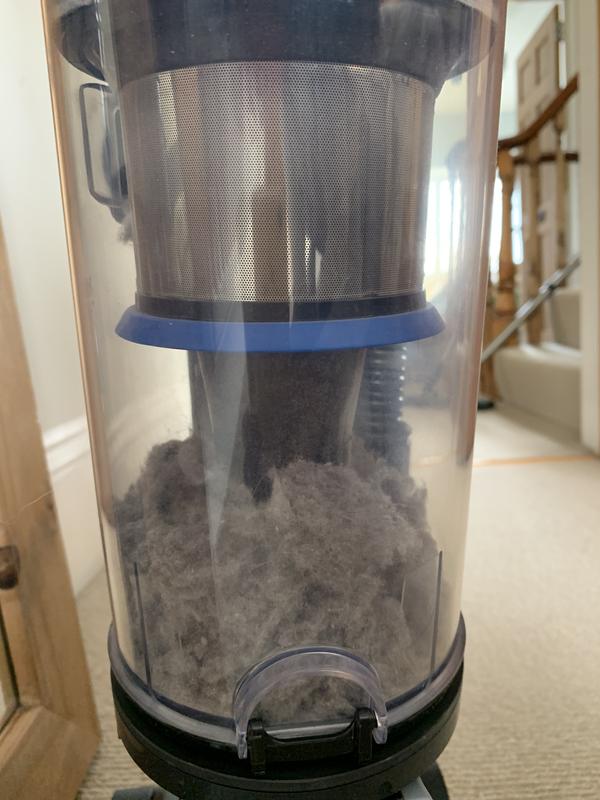 Again dirt and fluff and dog hair collected from a seemingly vacuumed bedroom carpet