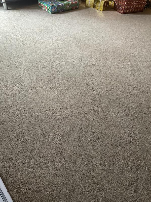 Cleaned carpet
