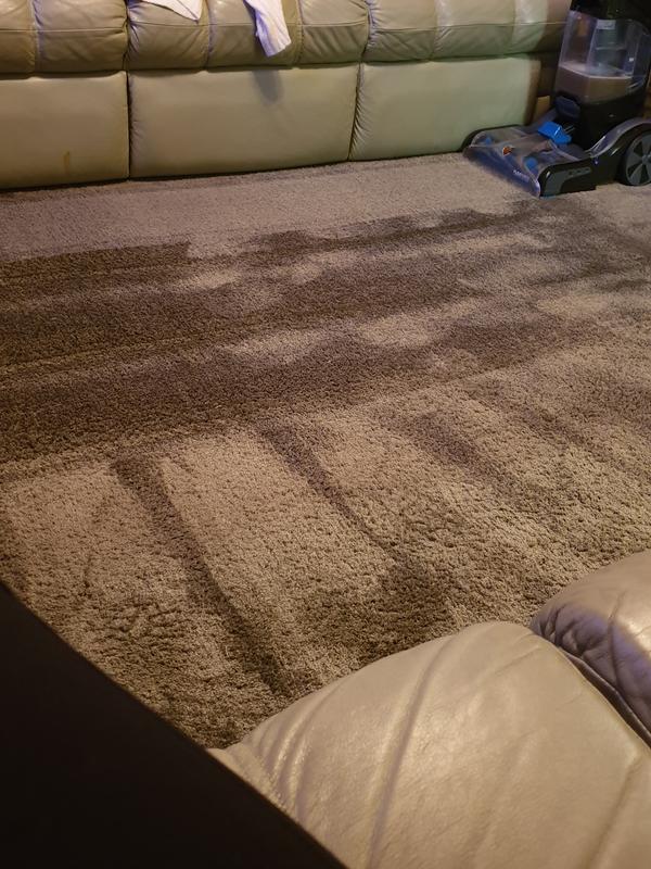 Our carpet after it was washed.