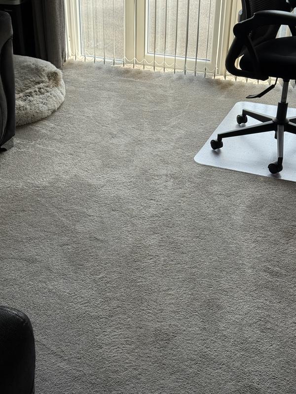 revived office carpet