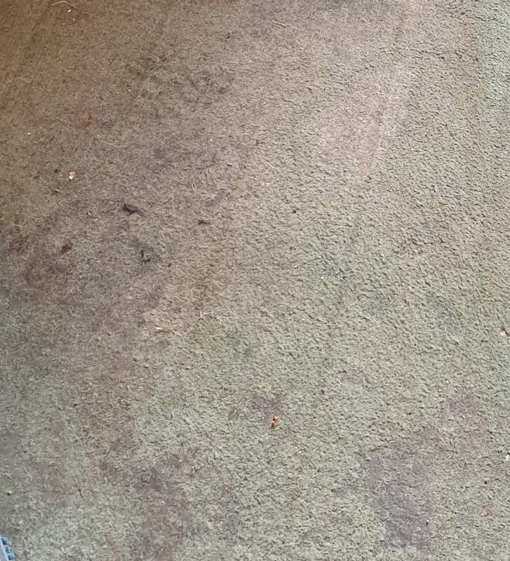 User generated review image 3