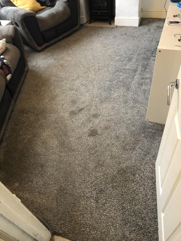 Before - nice brown tinged grey carpet