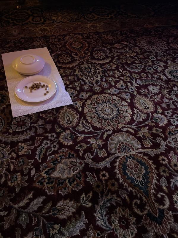 Clean carpet!