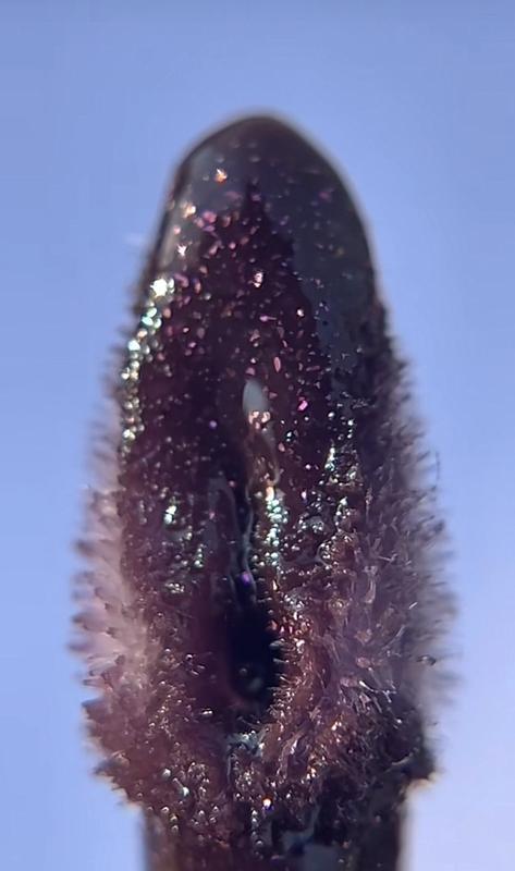 Review Thumbnail Image 0 379433906