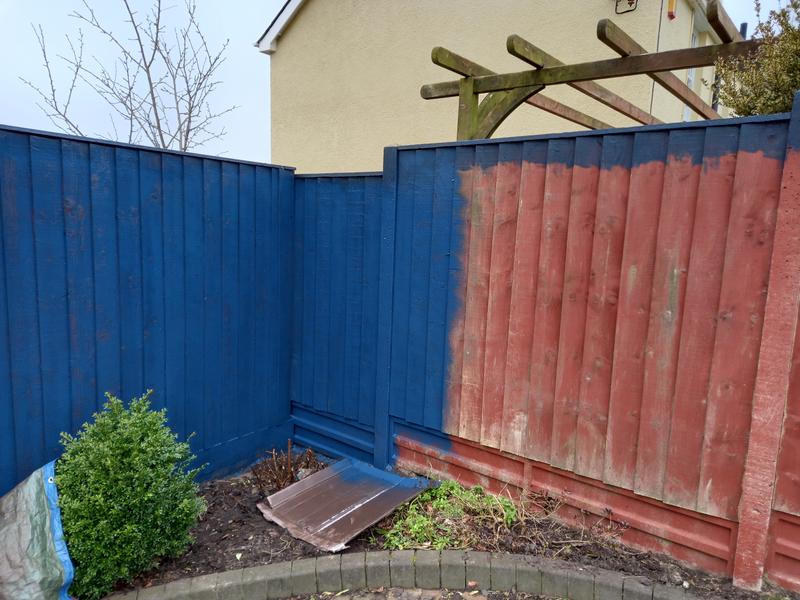 Blue deals fence paint