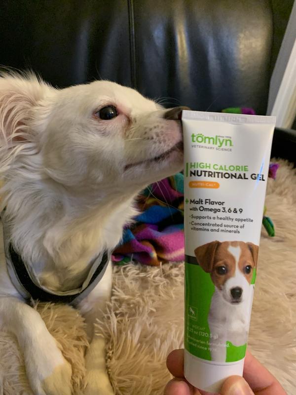 He smells a treat coming!