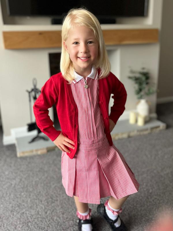 Burgundy gingham shop school dress