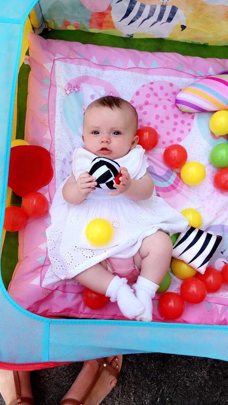 worlds apart zebra pop up sensory ball pit