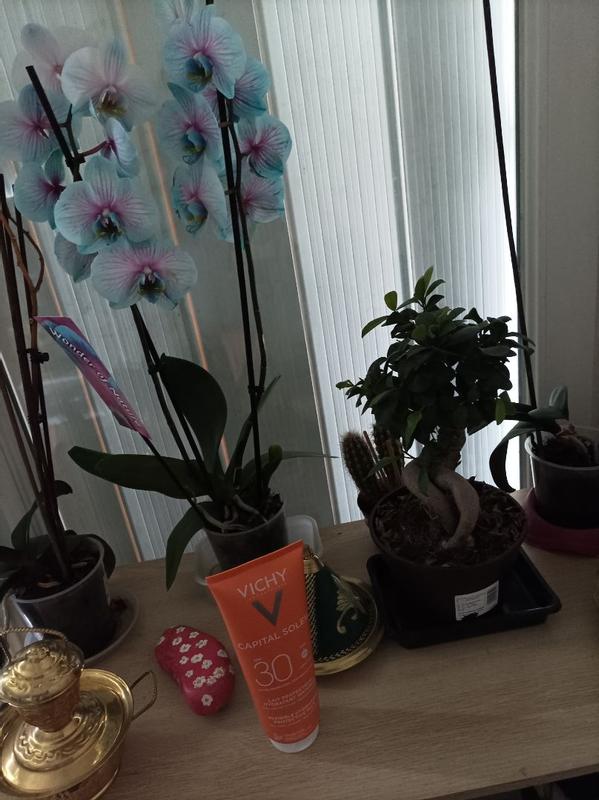 Avis sur la photo 1.