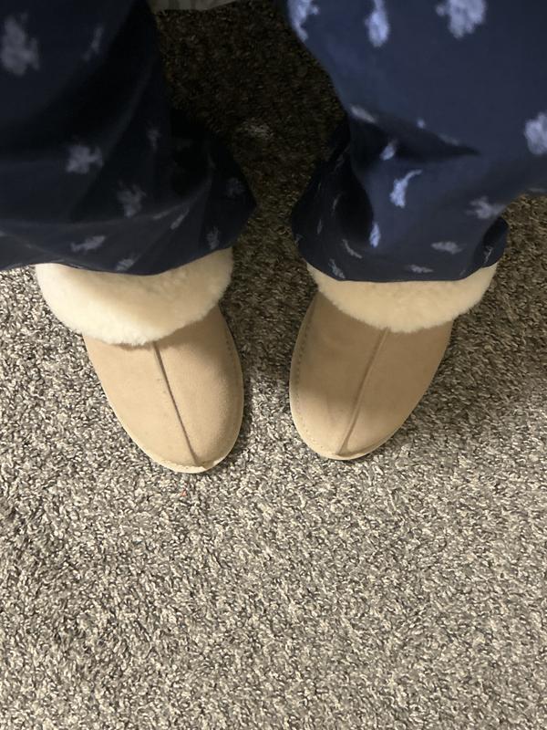 Review Thumbnail Image 1 272102041