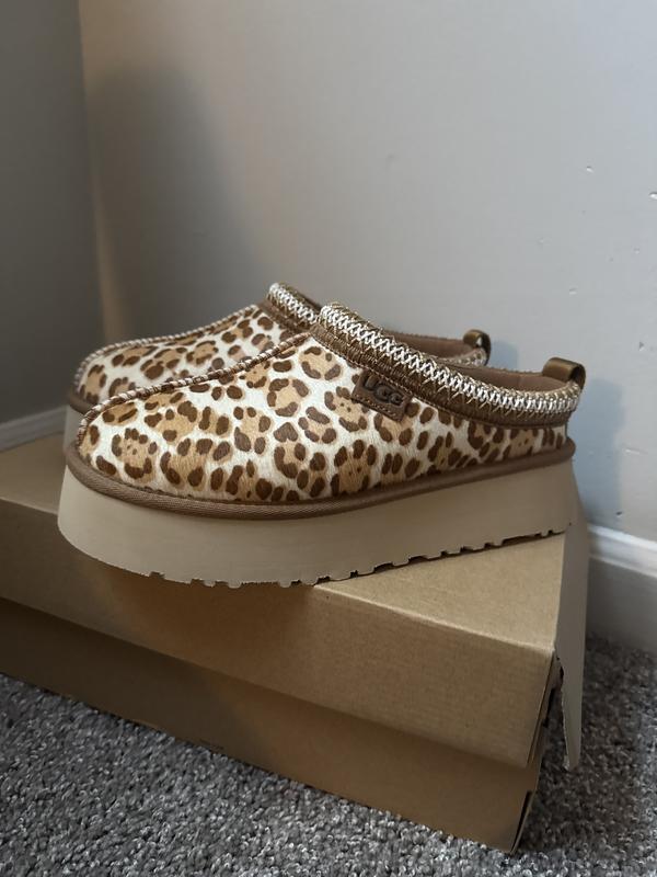 UGG W TAZZ PLAINS LEOPARD（アグ タズ プレインズ-レオパード