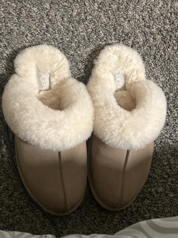 Review Thumbnail Image 0 272102041