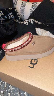 UGGアグ／TAZZⅡタズ　23cm ugg-wtazzlita_1a.jpg