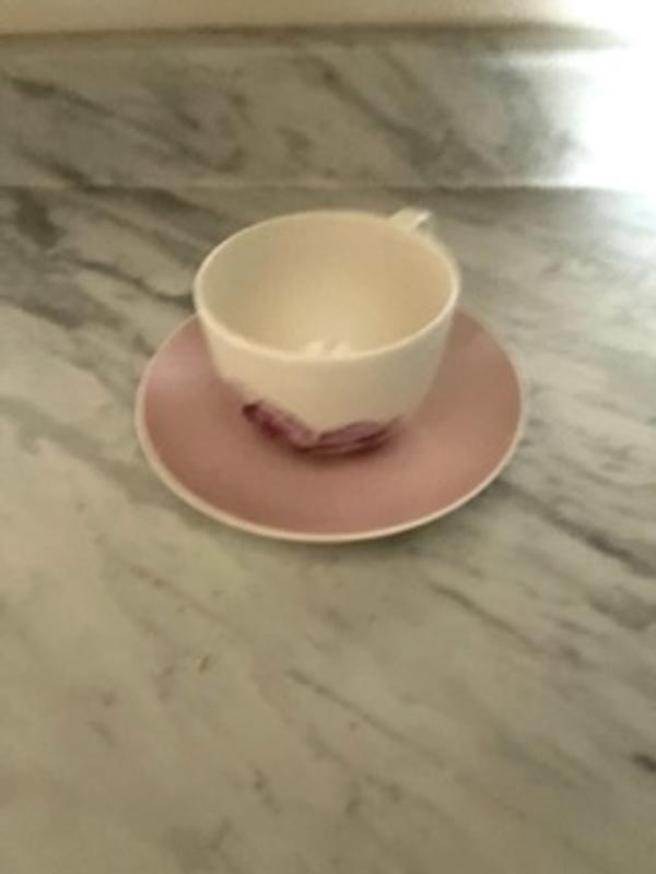 Review Thumbnail Image 0 315679696