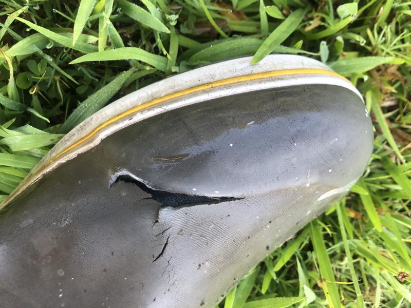 User uploaded product image