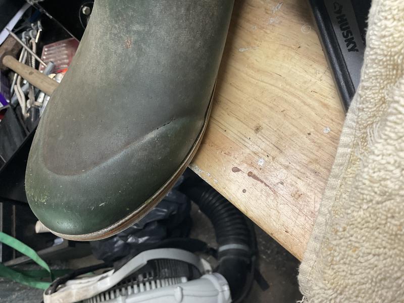 Photo submitted with review of product