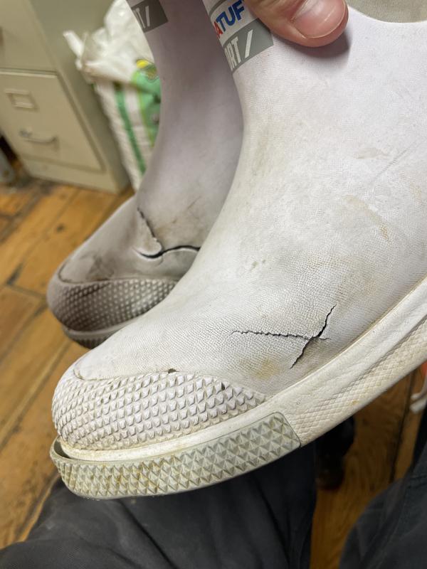 Photo submitted with review of product