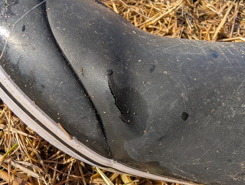 Photo submitted with review of product