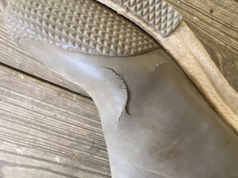 Photo submitted with review of product