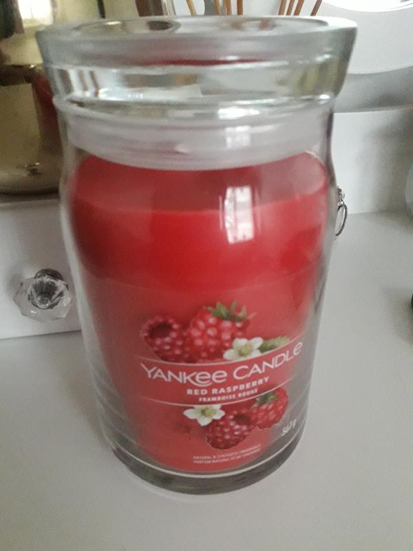  Yankee Candle 5038580062090 jar small Red Raspberry YSMRR, one  size : Automotive