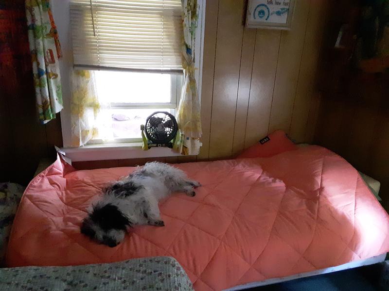 Photo submitted with review of product