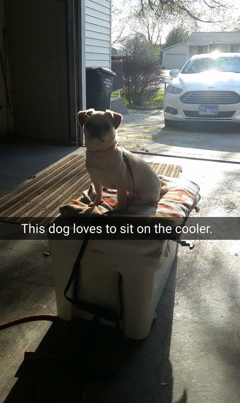 User uploaded product image