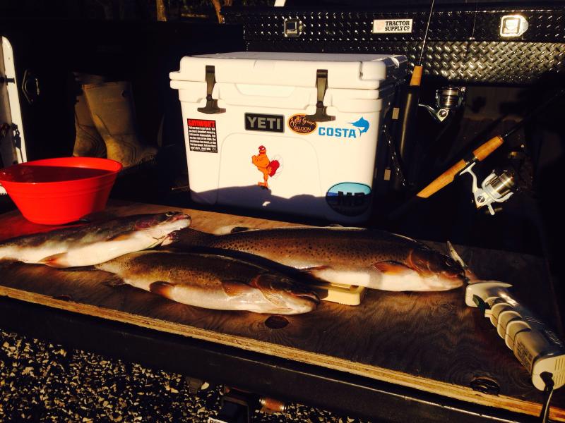 Photo submitted with review of product