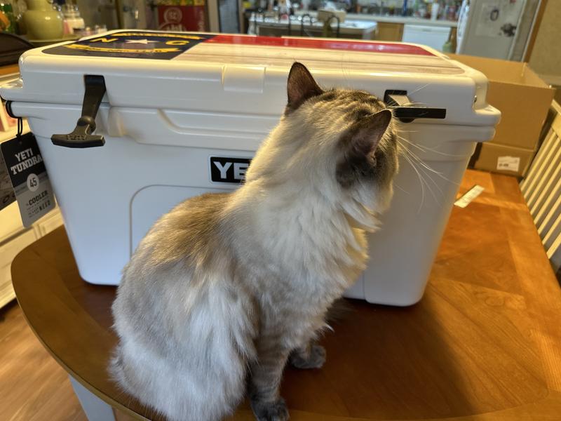 User uploaded product image