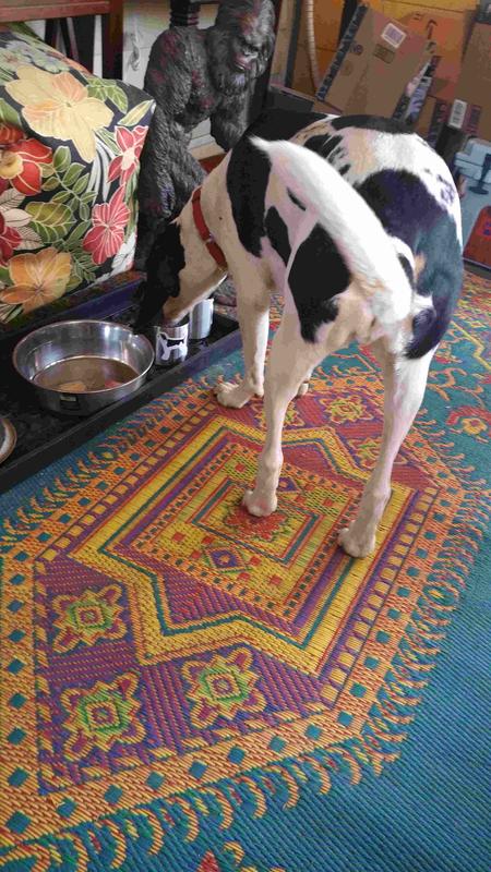 User uploaded product image