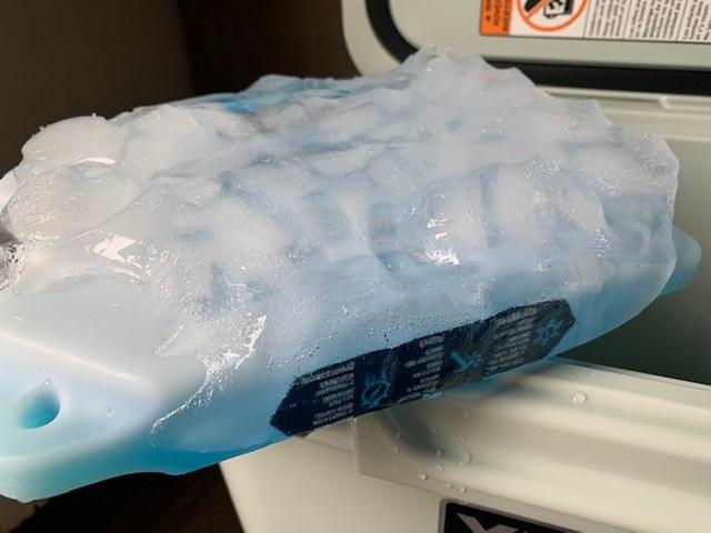 Photo submitted with review of product