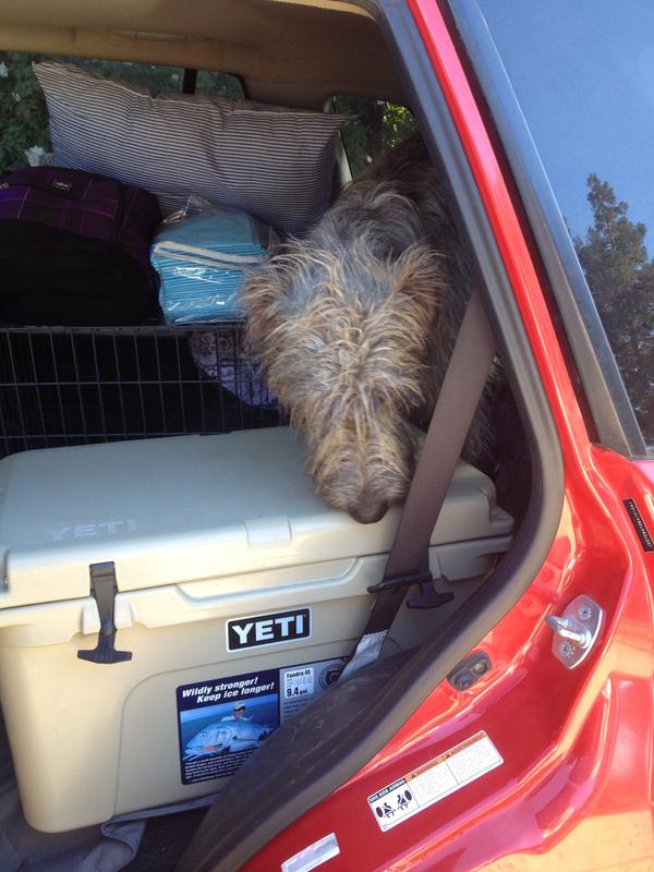 User uploaded product image