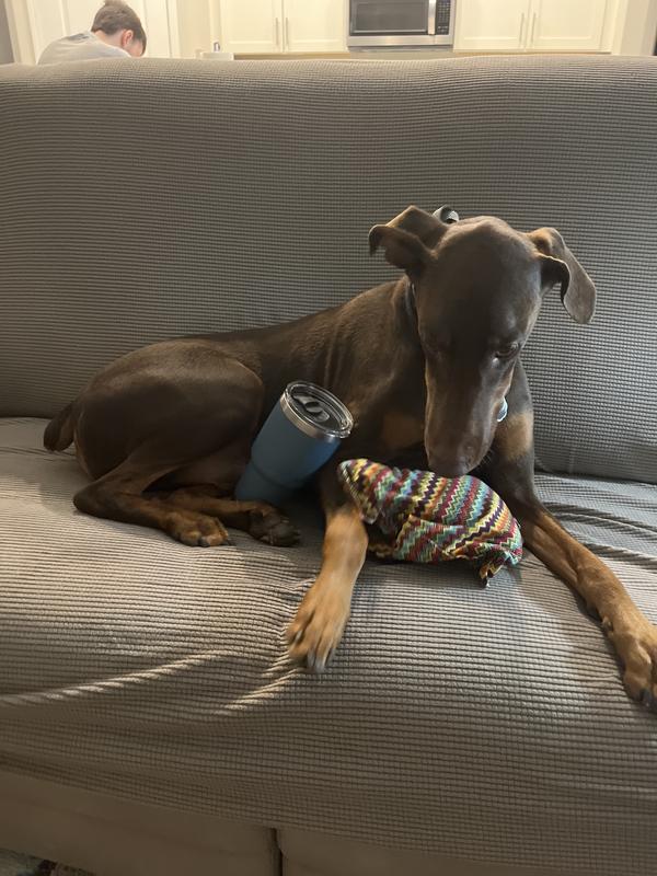 User uploaded product image