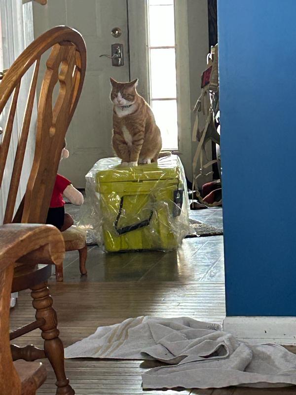 User uploaded product image