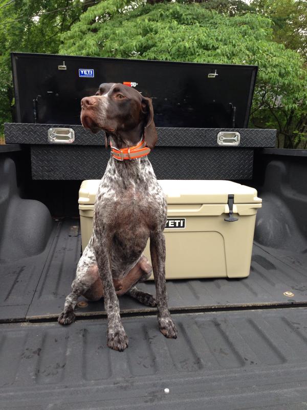 User uploaded product image